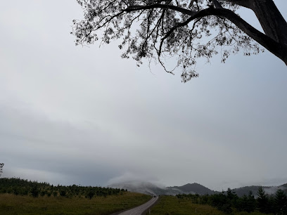 Amamoor Creek camping area, Amamoor State Forest