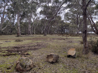 Arthurs Lake Camp Site - 4WD access