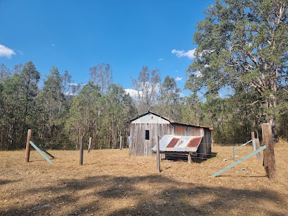 Nymboida River campground
