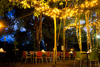 Banyan Tree caravan park resort Litchfield