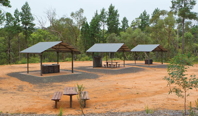 Sculptures in the Scrub picnic area and campground