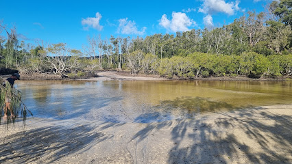 Awinya Creek camping area, Fraser Island, Great Sandy National Park