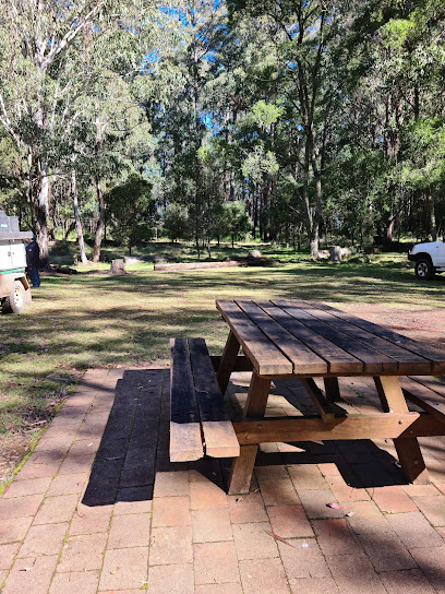 New Country Swamp campground