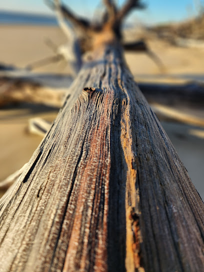 Burrum Point camping area, Burrum Coast National Park