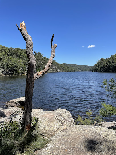 Tigersnake campground