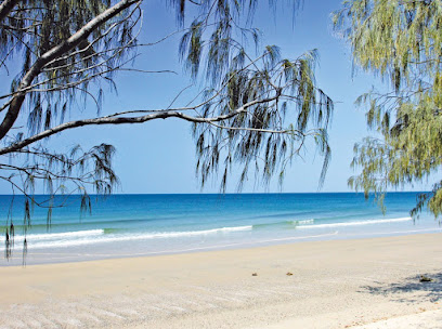 My Kinkuna beach camp