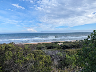 C8 Campsite (Free campground)