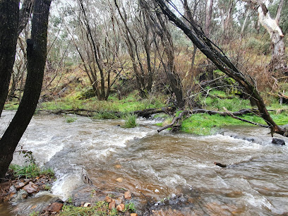 Little River Fossicking Reserve
