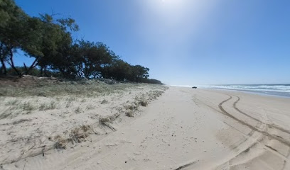 Minjerribah Camping - Campground Track H