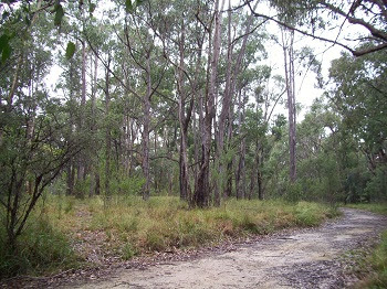 Dallas Brooks Scout Park