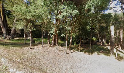 Britannia Park Guides Camp