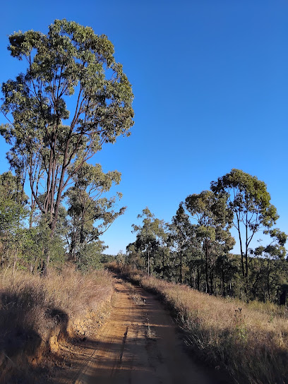Moonlight Dam camping area