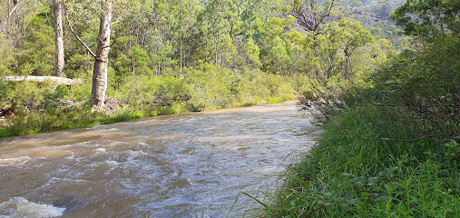 Currawong camp