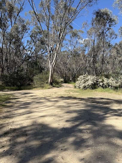 Reedy Creek camp ground (free)