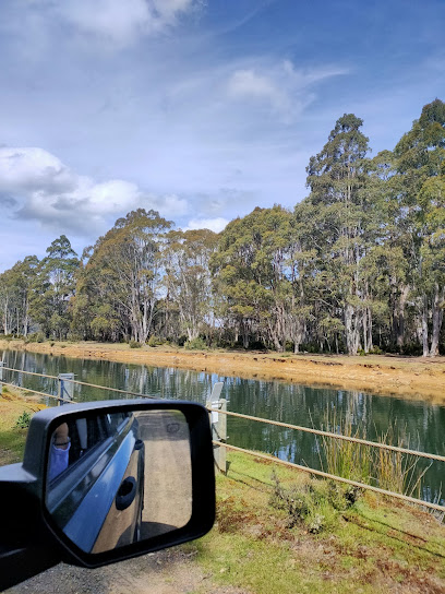 Tungatinah Lagoon wattles campground