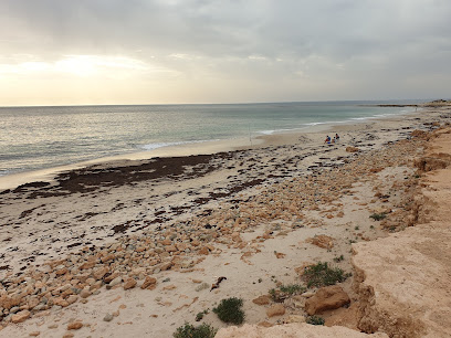 Tiparra Rocks - Bush Campground