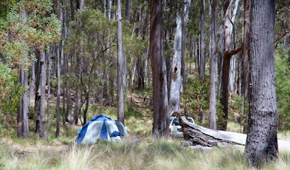 Coxs Creek campground