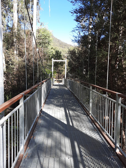 Neds Gully Campground