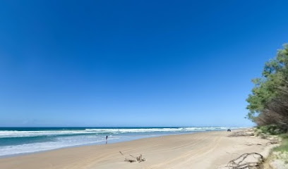 Minjerribah Camping - Campground Track L
