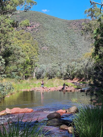 Manna Gum Campsite 7
