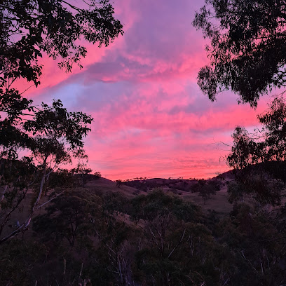 Palmers Oakey Reserve