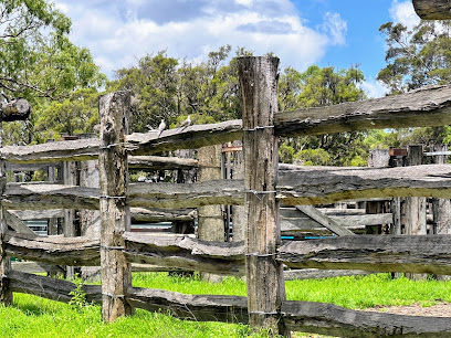 Mont Albion Station Camping