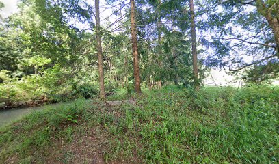 Rowlands Creek Hipcamper