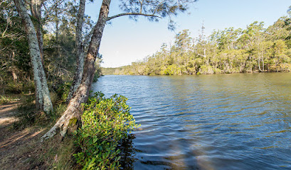 Ferny Creek campground
