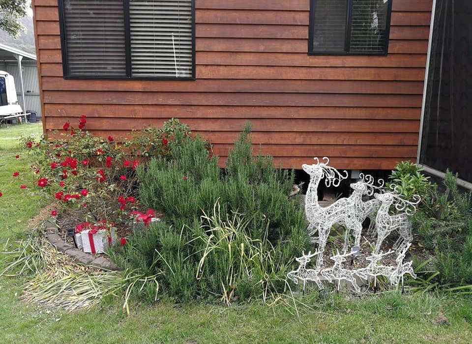 Mole Creek Caravan Park