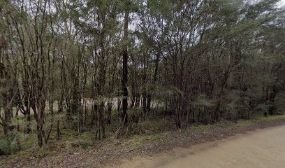 Jerusalem Creek Campground 8