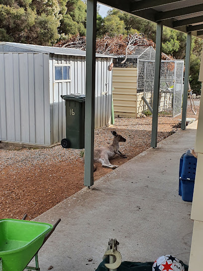 Kangaroo Retreat