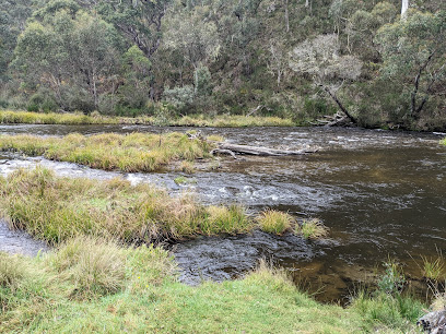 Middle Creek Camping Area