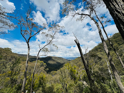 Wild Dog Creek Falls campground