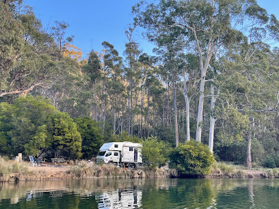 Trout Creek camping area