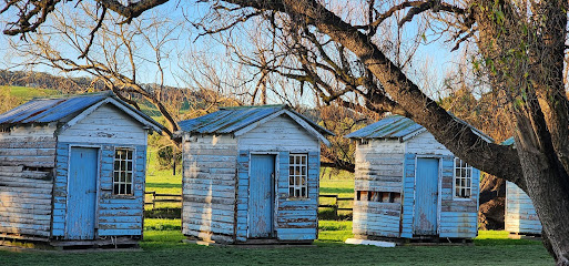 Camp Cooriemungle