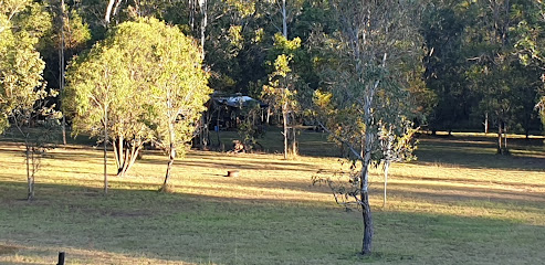 Bush Camp Gunalda