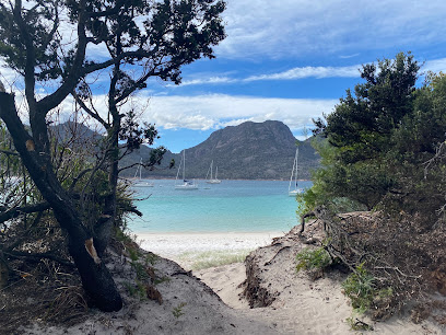 Wineglass Bay Campsite