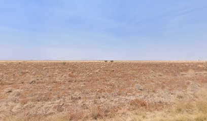 Brunette Races - Abc Amateur Race Club