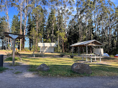 Beauchamp Falls campground
