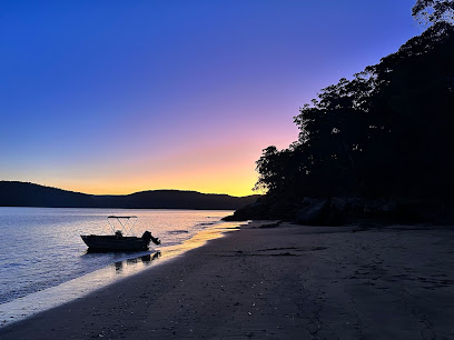 Rhino Beach