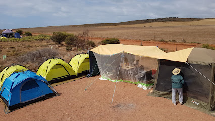 Lipson Cove Campground