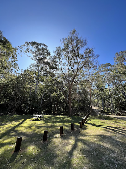 Griffiths Creek Camping Area