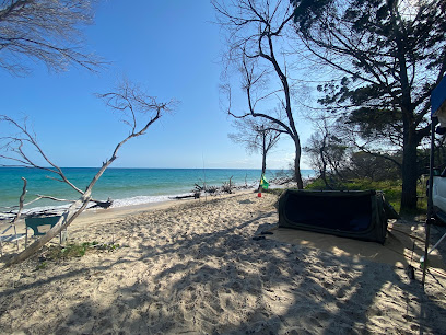 Beach camping zone 9 - Diray and Carree - K'gari, Great Sandy National Park