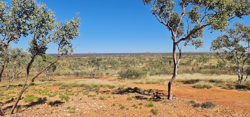 the lookout