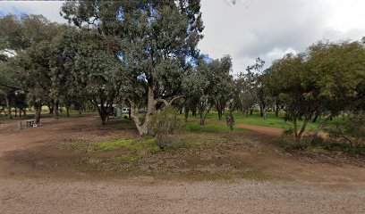 Ellis St Reserve