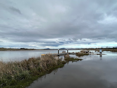 Swan Reach