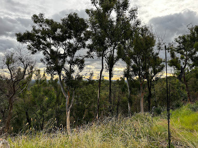 Top Moffatt (Mount Moffatt section) camping area