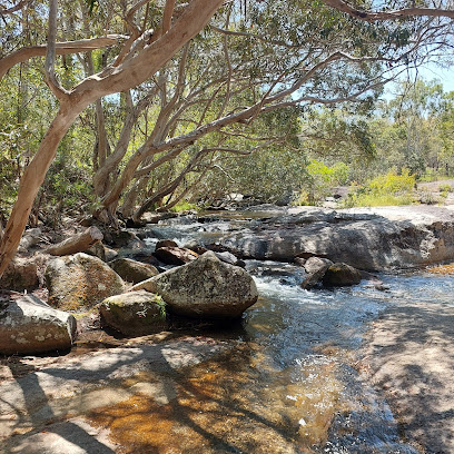 Upper Davies Creek camping area