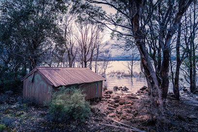 Camp Site