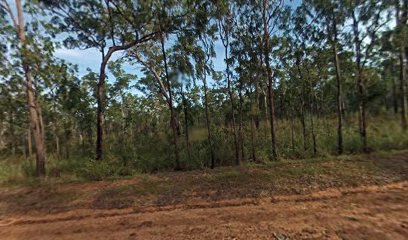 York Downs Camping